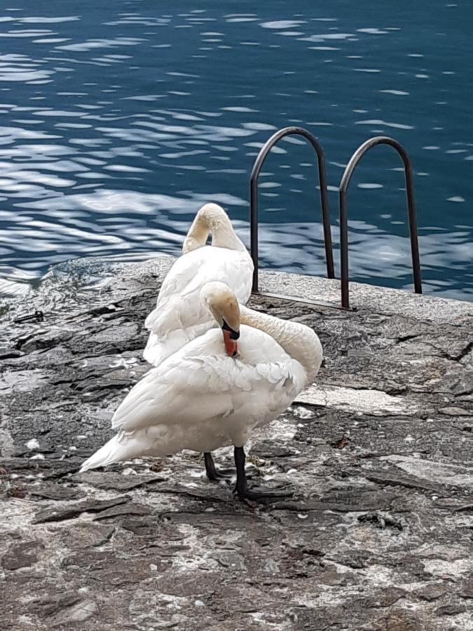 Casa Con Vista Lago A Nesso Kültér fotó